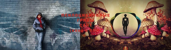 соль курить ск Алексин