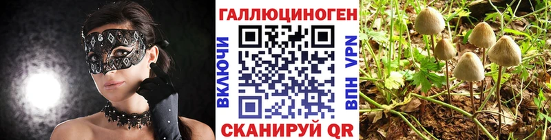 KRAKEN ONION  цены   Глазов  Галлюциногенные грибы ЛСД 